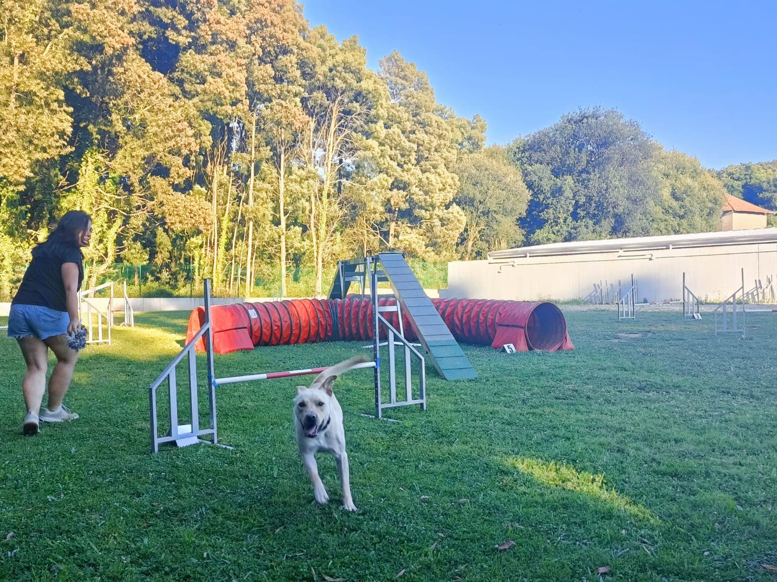 Guardería para perros